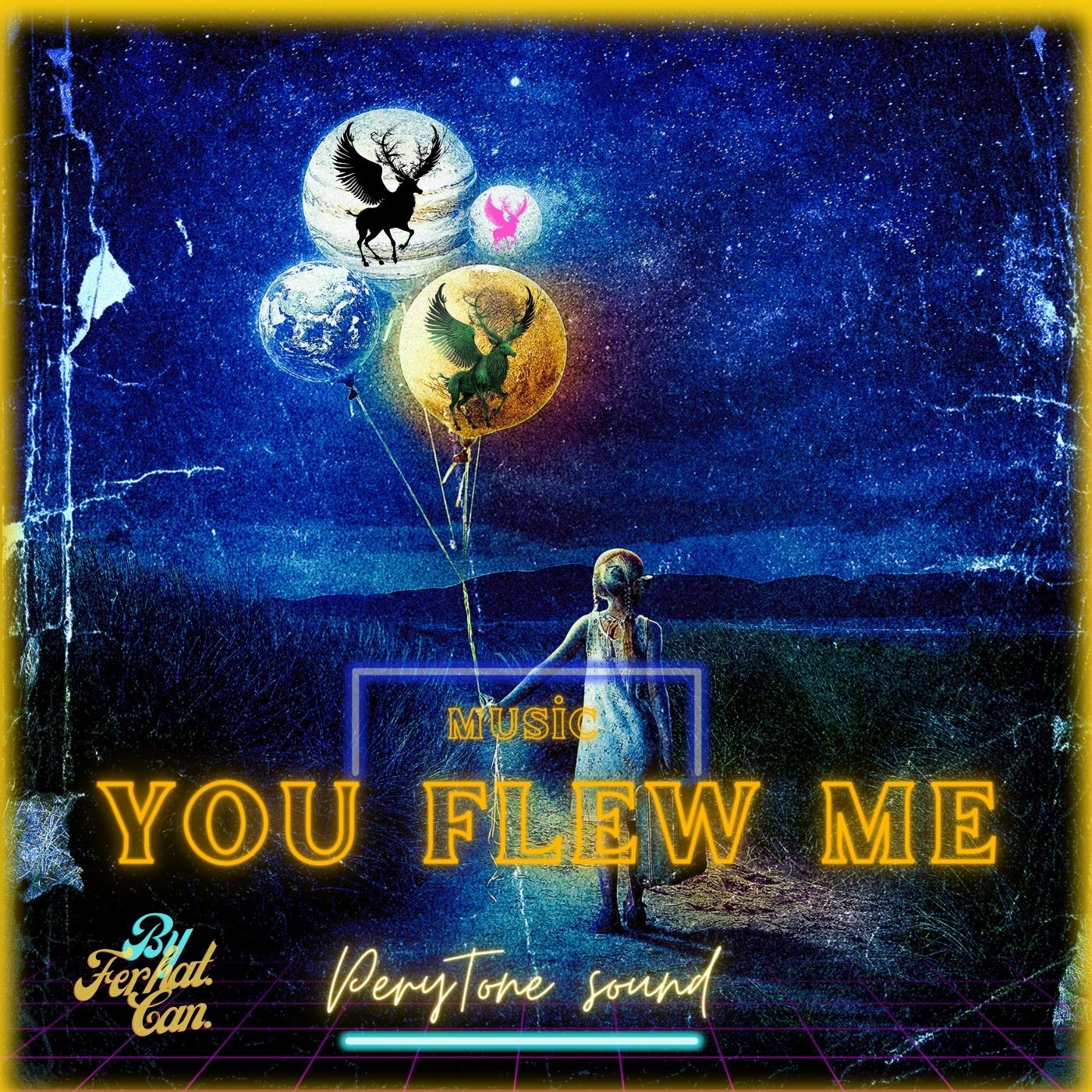 You Flew Me cover